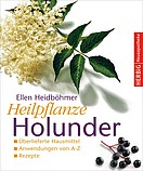 Heilpflanze Holunder